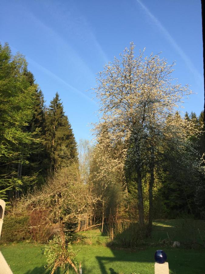 Das Alte Forsthaus Spiegelhuette リントベルク エクステリア 写真